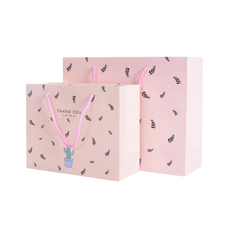 Gift Packaging Shopping Paper Bag